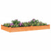 Strat grădină înălțat cu căptușeală maro 240x120x25cm lemn brad - WALTI WALTI