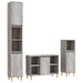 Set mobilier de baie, 3 piese, gri sonoma, lemn prelucrat - WALTI WALTI