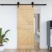 Ușă NARVIK natural 95 x 210 cm Lemn de Pin Solid - WALTI WALTI