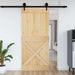 Ușă NARVIK natural 100 x 210 cm Lemn de Pin Solid - WALTI WALTI