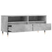 Comodă TV, gri beton, 100x34,5x44,5 cm, lemn prelucrat - WALTI WALTI