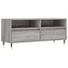 Comodă TV, gri sonoma, 100x34,5x44,5 cm, lemn prelucrat - WALTI WALTI