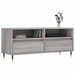 Comodă TV, gri sonoma, 100x34,5x44,5 cm, lemn prelucrat - WALTI WALTI
