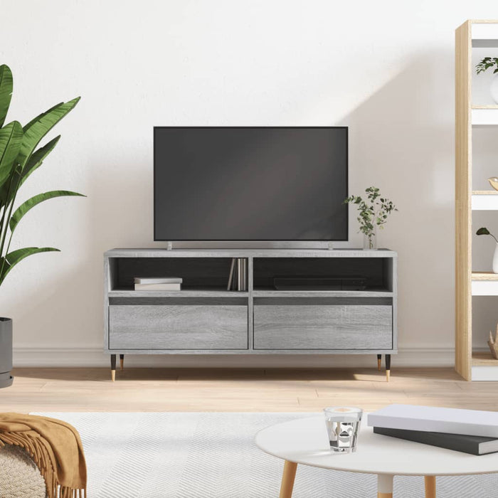 Comodă TV, gri sonoma, 100x34,5x44,5 cm, lemn prelucrat - WALTI WALTI