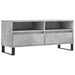 Comodă TV, gri beton, 100x34,5x44,5 cm, lemn prelucrat - WALTI WALTI