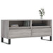 Comodă TV, gri sonoma, 100x34,5x44,5 cm, lemn prelucrat - WALTI WALTI