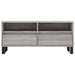 Comodă TV, gri sonoma, 100x34,5x44,5 cm, lemn prelucrat - WALTI WALTI