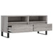 Comodă TV, gri sonoma, 100x34,5x44,5 cm, lemn prelucrat - WALTI WALTI