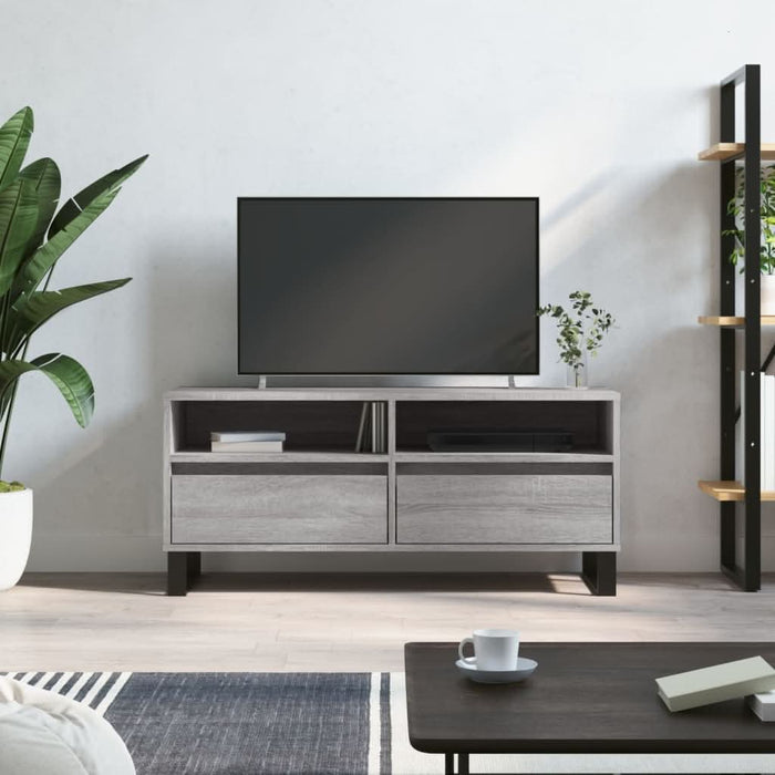 Comodă TV, gri sonoma, 100x34,5x44,5 cm, lemn prelucrat - WALTI WALTI
