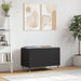Dulap pentru discuri, negru, 74,5x38x48 cm, lemn prelucrat - WALTI WALTI