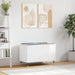 Dulap pt discuri, alb extralucios 74,5x38x48 cm lemn prelucrat - WALTI WALTI