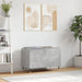 Dulap pentru discuri, gri beton, 74,5x38x48 cm, lemn prelucrat - WALTI WALTI