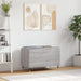 Dulap pentru discuri gri sonoma 74,5x38x48 cm lemn prelucrat - WALTI WALTI