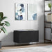 Dulap pentru discuri, negru, 74,5x38x48 cm, lemn prelucrat - WALTI WALTI