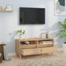 Comodă TV, stejar sonoma, 100x34,5x44,5 cm, lemn prelucrat - WALTI WALTI