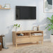 Comodă TV, stejar sonoma, 100x34,5x44,5 cm, lemn prelucrat - WALTI WALTI