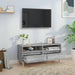 Comodă TV, gri sonoma, 100x34,5x44,5 cm, lemn prelucrat - WALTI WALTI
