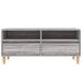 Comodă TV, gri sonoma, 100x34,5x44,5 cm, lemn prelucrat - WALTI WALTI