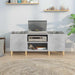 Dulap pentru discuri gri beton, 121x38x48 cm, lemn prelucrat - WALTI WALTI