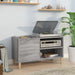 Dulap pentru discuri gri sonoma 84,5x38x48 cm lemn prelucrat - WALTI WALTI