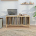 Dulap pentru discuri stejar sonoma 100x38x48 cm, lemn prelucrat - WALTI WALTI