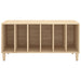 Dulap pentru discuri stejar sonoma 100x38x48 cm, lemn prelucrat - WALTI WALTI