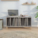 Dulap pentru discuri gri sonoma, 100x38x48 cm, lemn prelucrat - WALTI WALTI