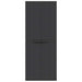 Dulap depozitare de exterior, negru, 65x37x165 cm, PP - WALTI WALTI