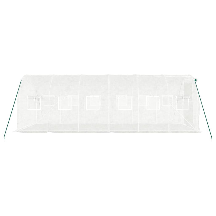 Seră cu cadru din oțel, alb, 12 m², 6x2x2 m - WALTI WALTI