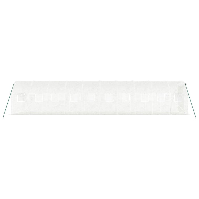 Seră cu cadru din oțel, alb, 20 m², 10x2x2 m - WALTI WALTI
