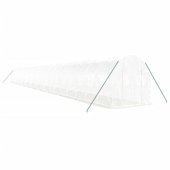 Seră cu cadru din oțel, alb, 48 m², 24x2x2 m WALTI