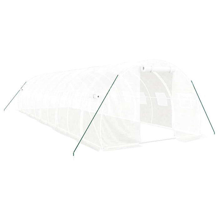 Seră cu cadru din oțel, alb, 30 m², 10x3x2 m - WALTI WALTI