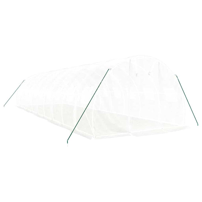 Seră cu cadru din oțel, alb, 30 m², 10x3x2 m - WALTI WALTI