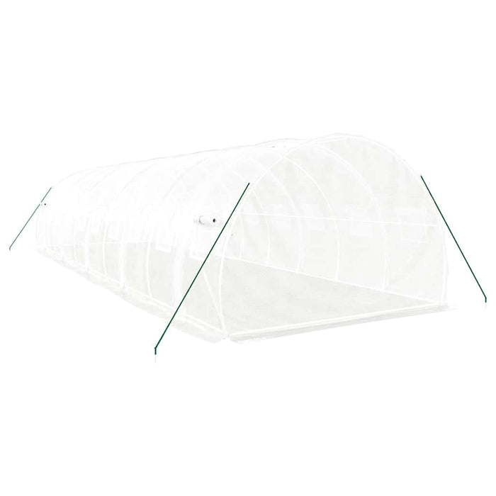 Seră cu cadru din oțel, alb, 30 m², 10x3x2 m - WALTI WALTI