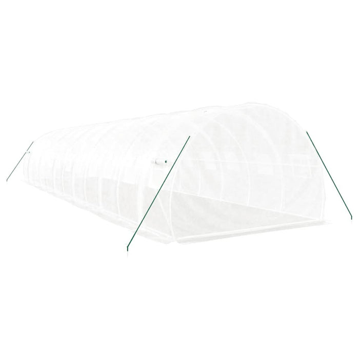 Seră cu cadru din oțel, alb, 36 m², 12x3x2 m - WALTI WALTI
