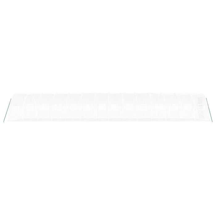 Seră cu cadru din oțel, alb, 42 m², 14x3x2 m - WALTI WALTI
