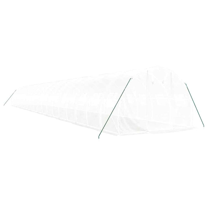 Seră cu cadru din oțel, alb, 60 m², 20x3x2 m - WALTI WALTI