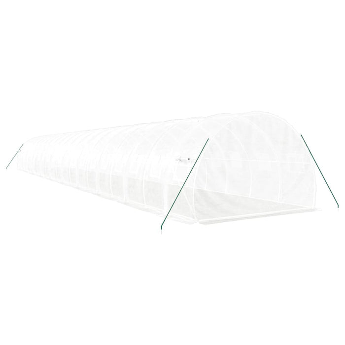 Seră cu cadru din oțel, alb, 60 m², 20x3x2 m - WALTI WALTI