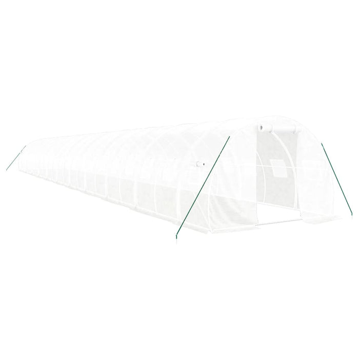 Seră cu cadru din oțel, alb, 66 m², 22x3x2 m - WALTI WALTI