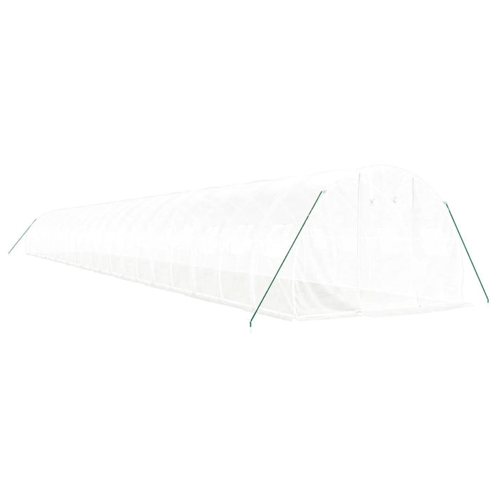 Seră cu cadru din oțel, alb, 66 m², 22x3x2 m - WALTI WALTI