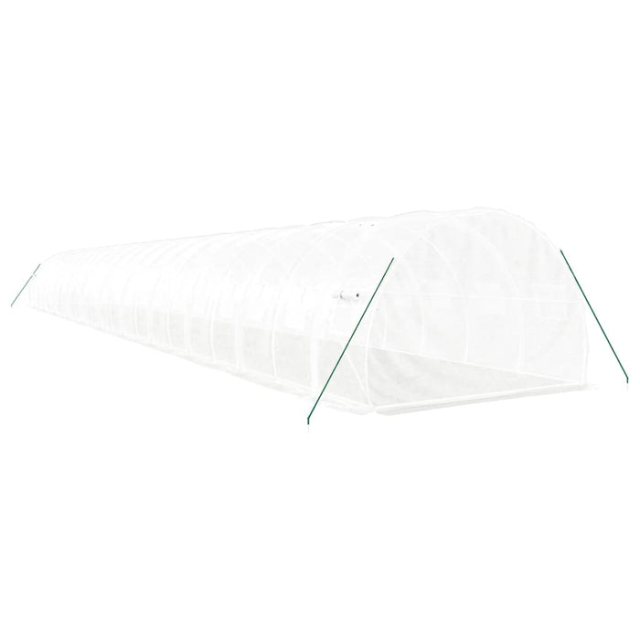 Seră cu cadru din oțel, alb, 66 m², 22x3x2 m - WALTI WALTI