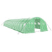 Seră cu cadru din oțel, verde, 64 m², 16x4x2 m - WALTI WALTI