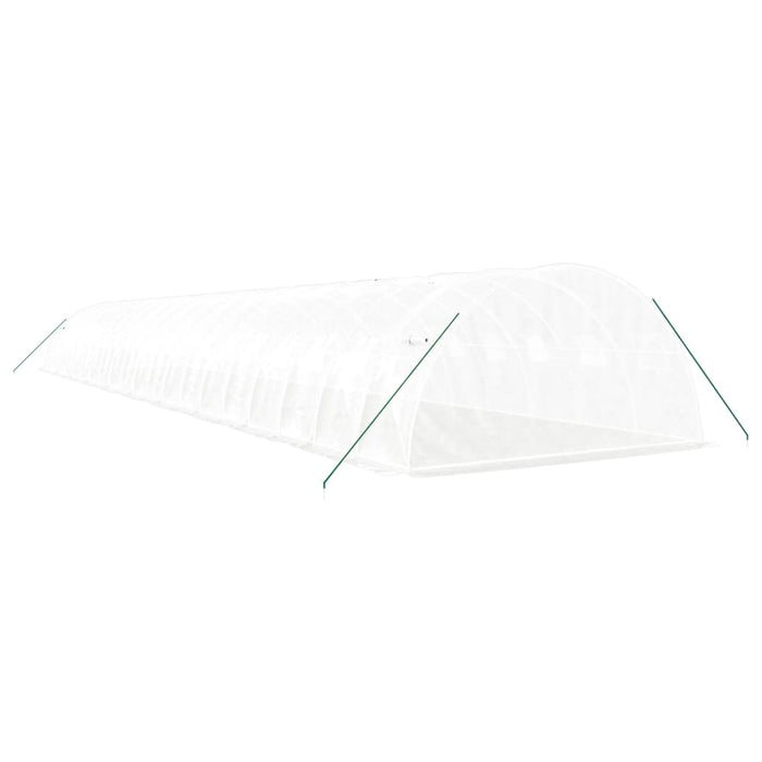 Seră cu cadru din oțel, alb, 80 m², 20x4x2 m - WALTI WALTI