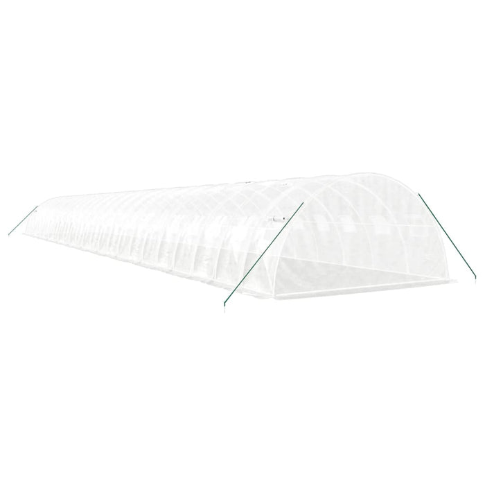 Seră cu cadru din oțel, alb, 96 m², 24x4x2 m - WALTI WALTI