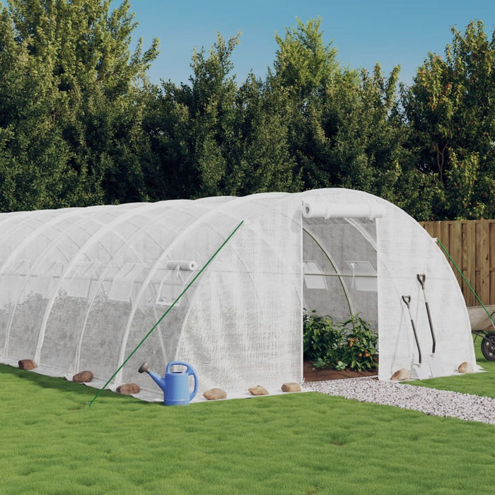 Seră cu cadru din oțel, alb, 96 m², 24x4x2 m - WALTI WALTI