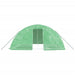 Seră cu cadru din oțel, verde, 20 m², 5x4x2,3 m - WALTI WALTI