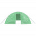 Seră cu cadru din oțel, verde, 30 m², 6x5x2,3 m - WALTI WALTI