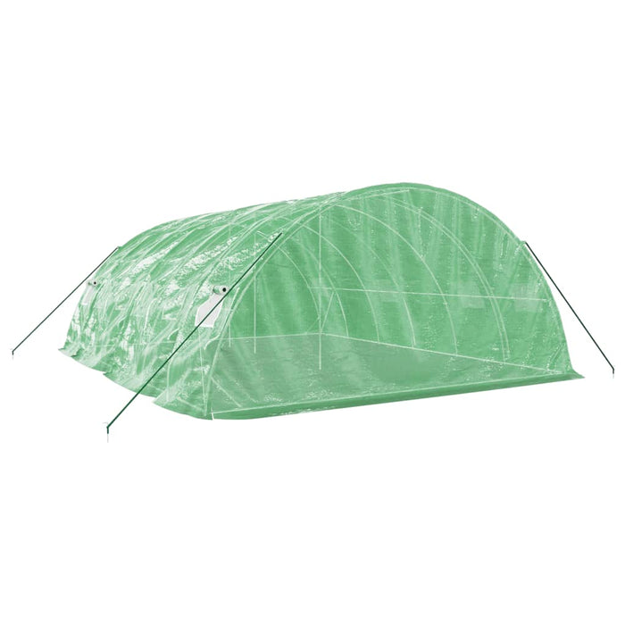 Seră cu cadru din oțel, verde, 30 m², 6x5x2,3 m - WALTI WALTI
