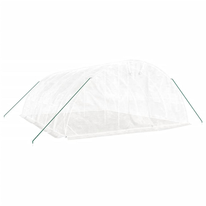Seră cu cadru din oțel, alb, 30 m², 6x5x2,3 m WALTI