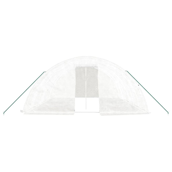 Seră cu cadru din oțel, alb, 30 m², 6x5x2,3 m WALTI